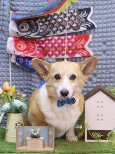 20230516ランランちゃん